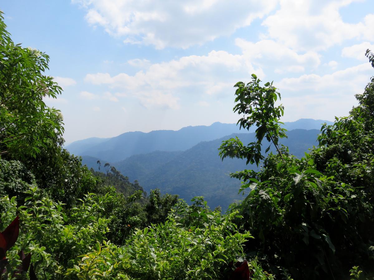Nkuringo Bwindi Gorilla Lodge Экстерьер фото