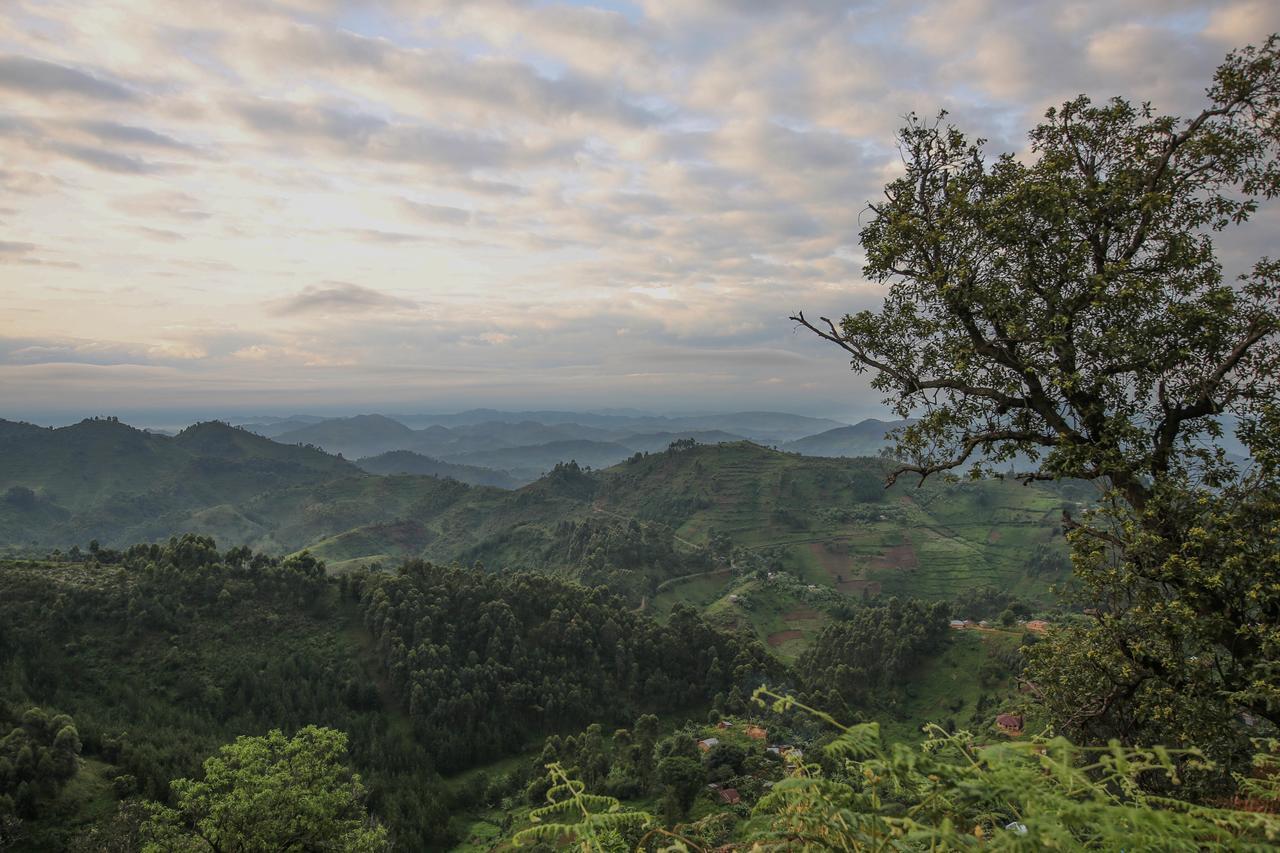 Nkuringo Bwindi Gorilla Lodge Экстерьер фото